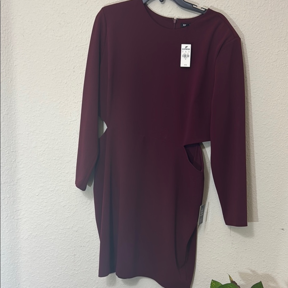 Express Deep Burgundy Long Sleeve Dress